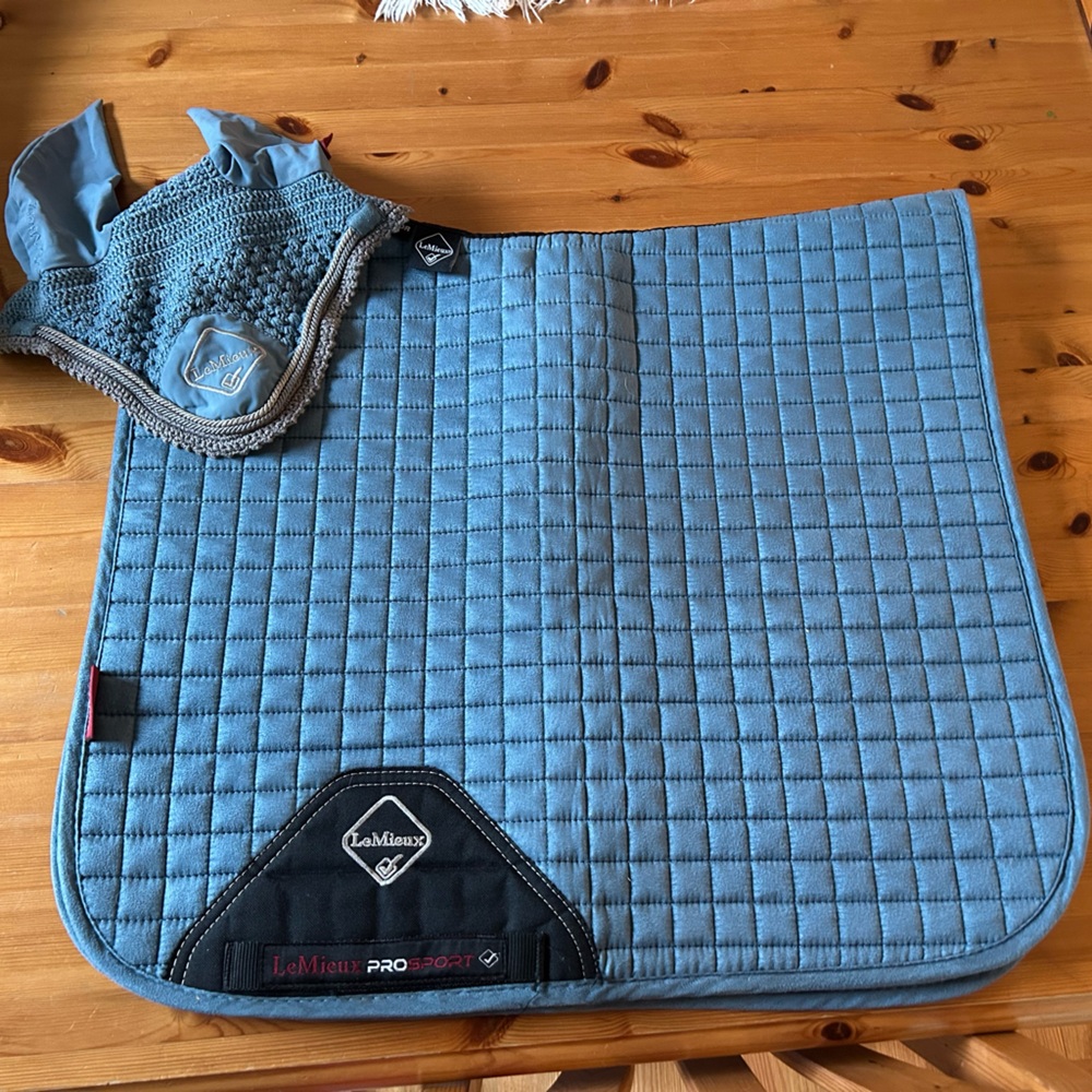 Ice Blue Lemieux Ear Bonner + Dressage pad